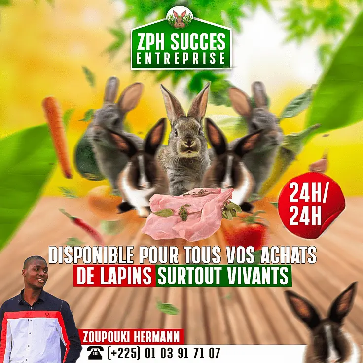 ZPH Entreprise
